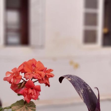 Del Parque Flats Alamos Terraza Lejlighed Málaga Eksteriør billede