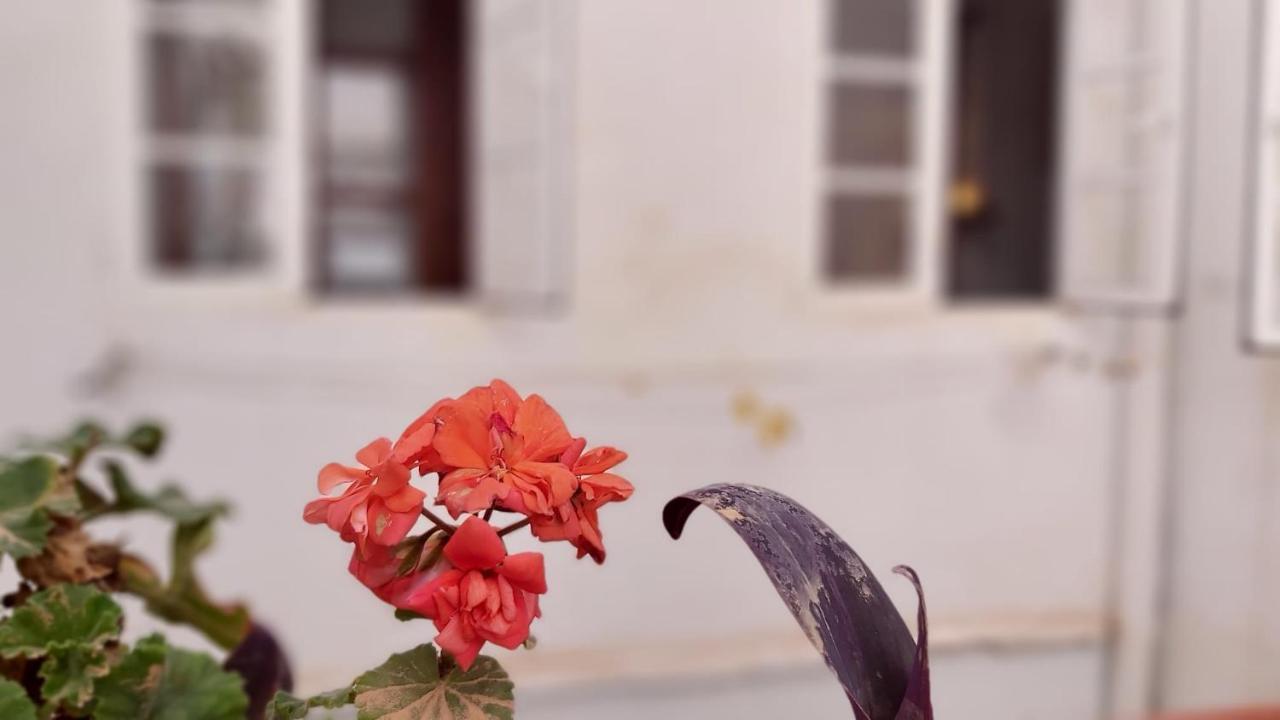 Del Parque Flats Alamos Terraza Lejlighed Málaga Eksteriør billede