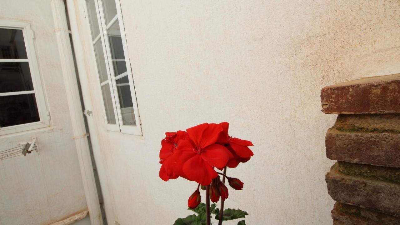 Del Parque Flats Alamos Terraza Lejlighed Málaga Eksteriør billede